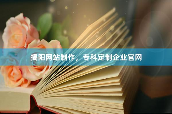 揭阳网站制作，专科定制企业官网