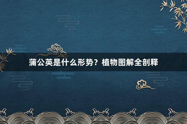 蒲公英是什么形势？植物图解全剖释